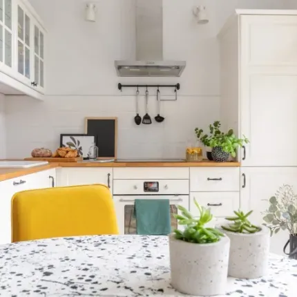 plants in kitchen